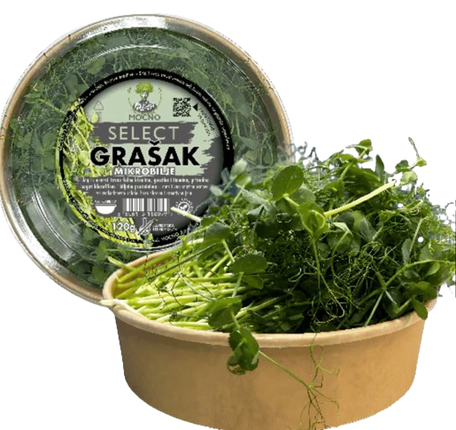 SELECT – Grašak