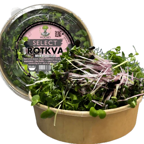 SELECT – Rotkva