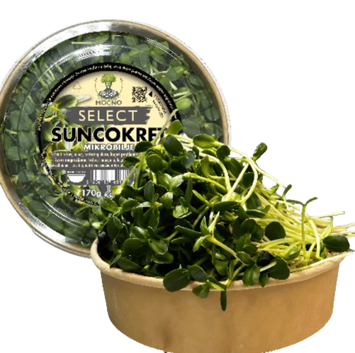 SELECT – Suncokret