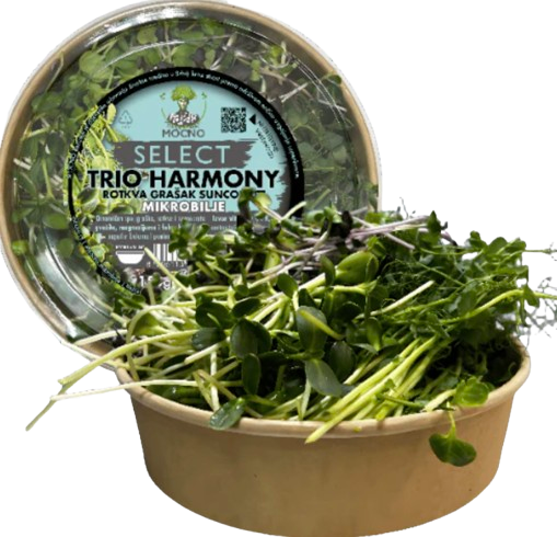 SELECT – Trio Harmony